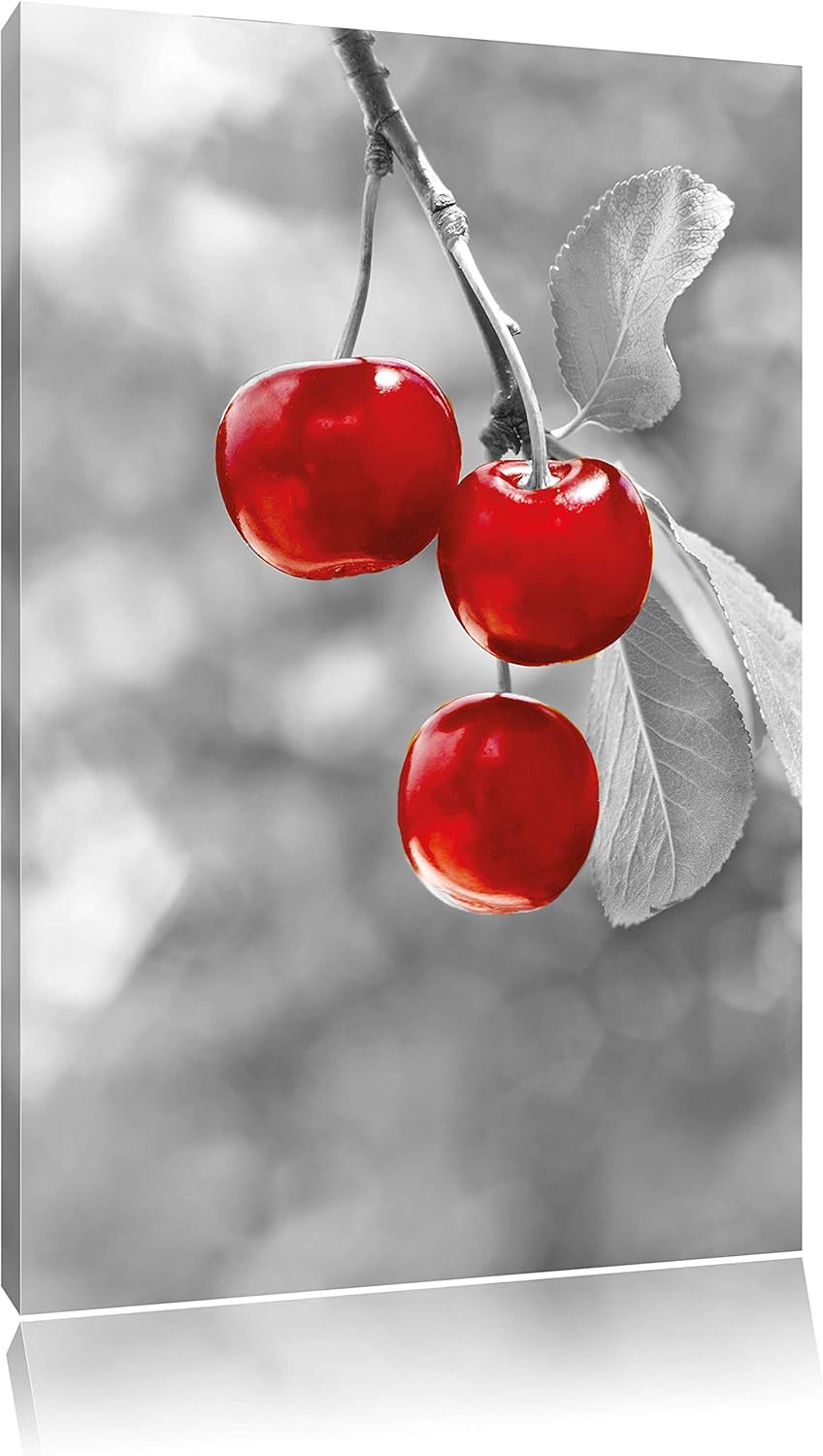 Pixxprint glänzende Kirschen am Zweig schwarz/weiss, Format: 80x120 auf hochkantiges Leinwand, XXL r