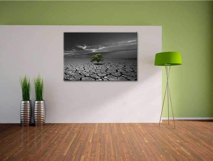 einsamer Baum auf ausgetrocknetem Boden schwarz/weiss Format: 100x70 auf Leinwand, XXL riesige Bilde
