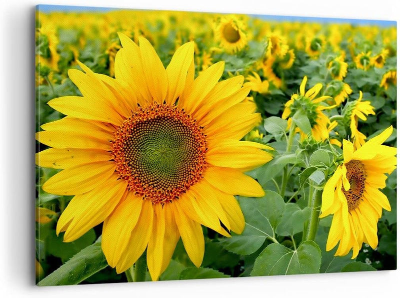 Bilder auf Leinwand 100x70cm Leinwandbild Wolken Sonnenblumen Plantagen Gross Wanddeko Bild Schlafzi