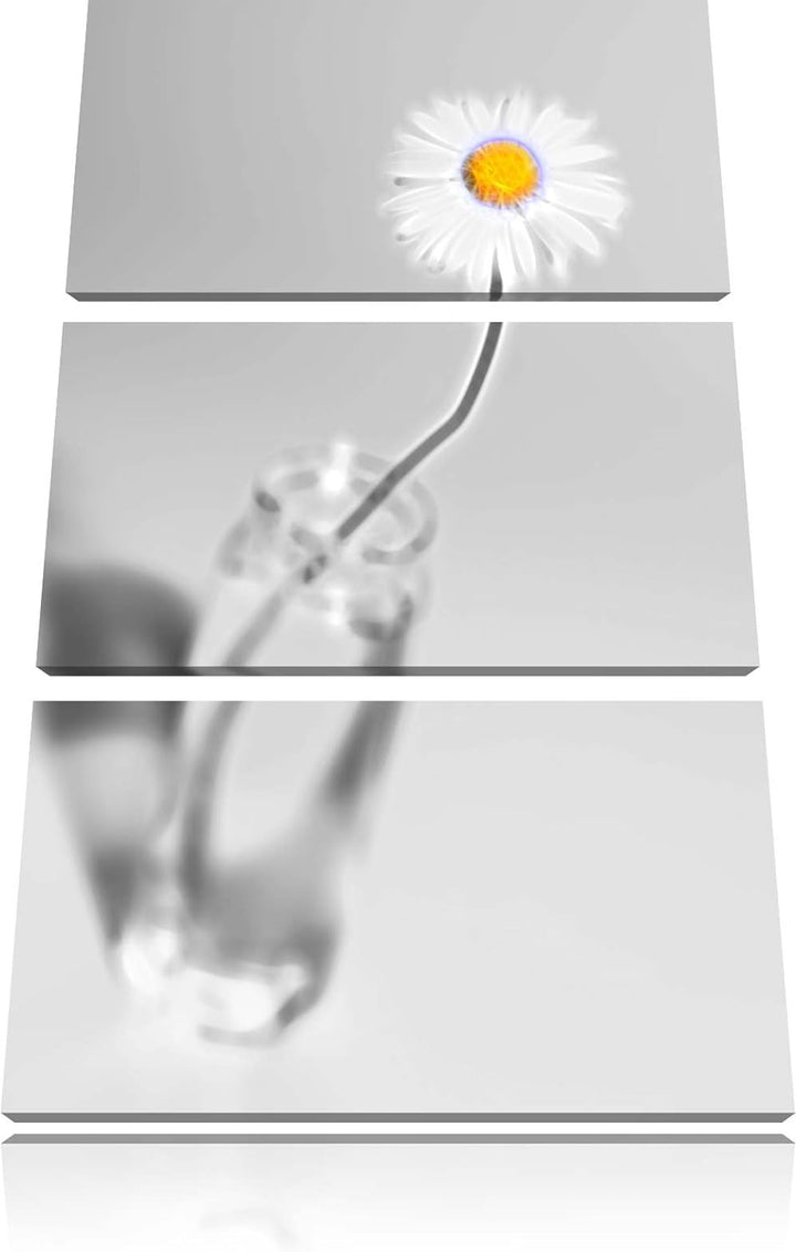 zartes Gänseblümchen im stilvollen Glas schwarz/weiss Deluxe 3-Teiler Leinwandbild 120x80 Bild auf L