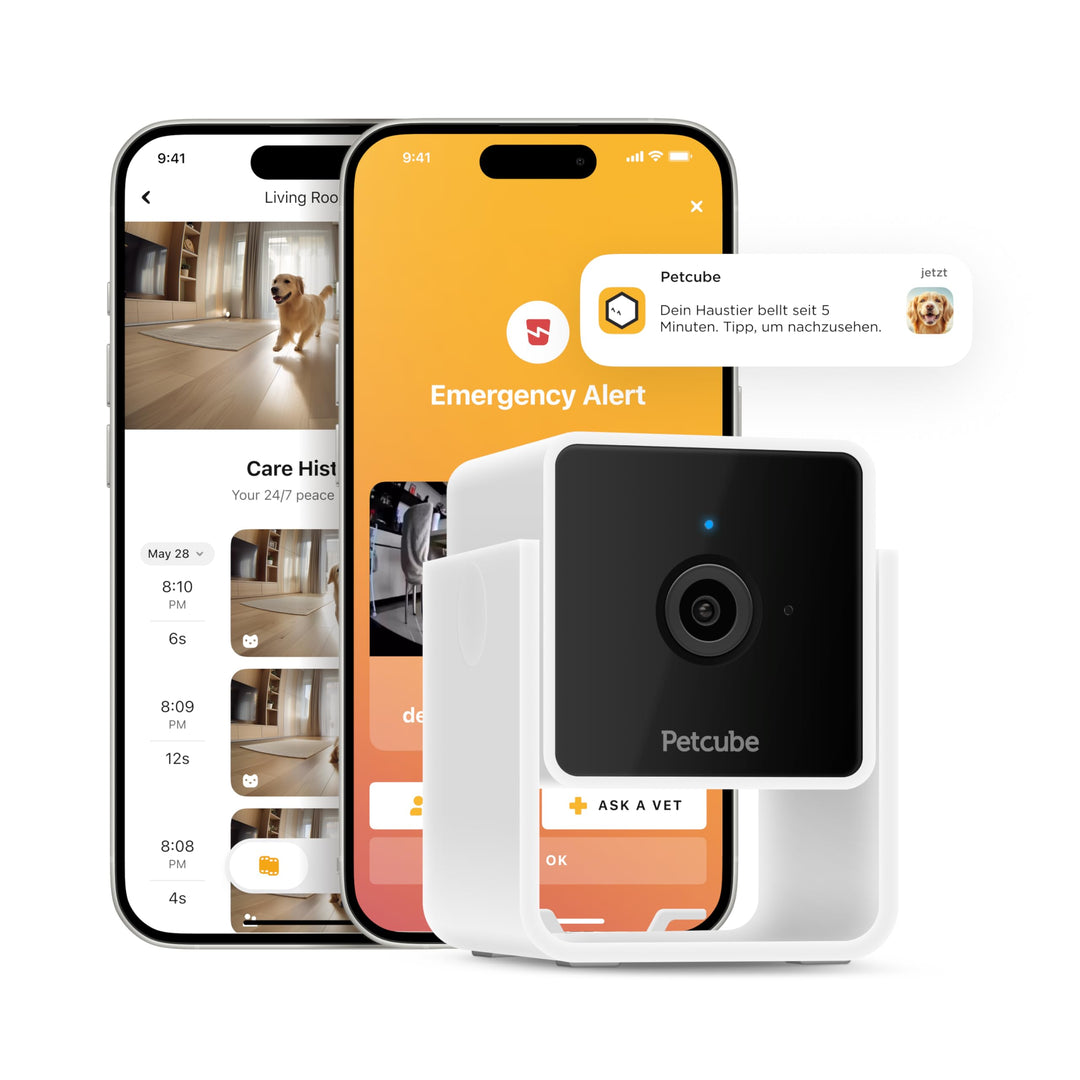 Petcube Cam Pet Monitoring Camera (Haustierüberwachungskamera) mit integriertem Tierarzt-Chat für Ka