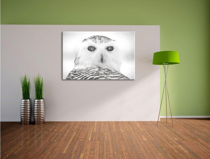 Schnee-Eule Kohle Effekt, Format: 100x70 auf Leinwand, XXL riesige Bilder fertig gerahmt mit Keilrah