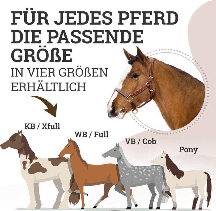 Esposita anatomisches Lederhalfter Deluxe Halfter aus Leder für Pferde Stallhalfter Pferdehalfter -