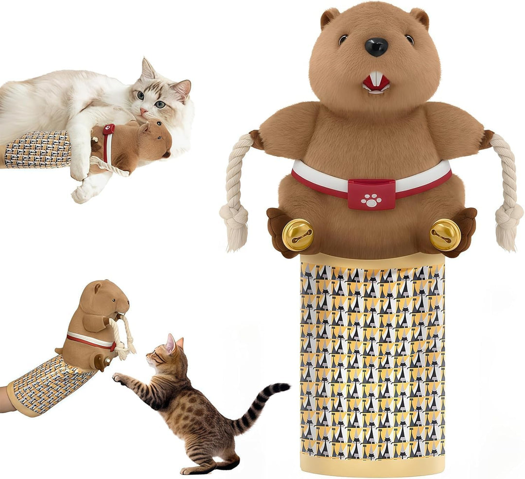 FARYODI Katzen Wrestling Handschuh, Interaktive Katzen Handpuppe mit robuster Polsterung, Sicheres K