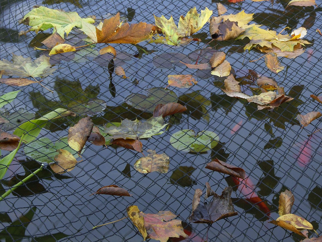 Blagdon Clearview Cover Net 3x2m | Teichabdeckung Schutznetz gegen Reiher & Katzen | Laubschutz für