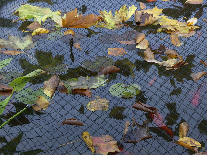 Blagdon Clearview Cover Net 3x2m | Teichabdeckung Schutznetz gegen Reiher & Katzen | Laubschutz für