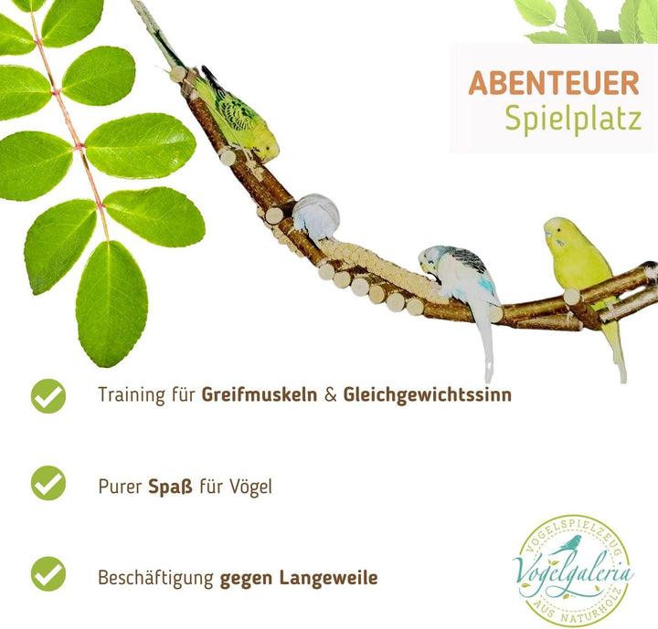 Herrlicher Vogelspielplatz aus Naturholz. EIN Kletterspielplatz mit vielen Sitzstangen und Futternap