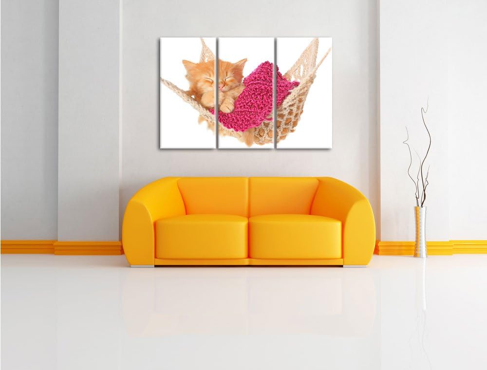 Pixxprint Schlafendes Katzenbaby in Hängematte 3-Teiler Leinwandbild 120x80 Bild auf Leinwand