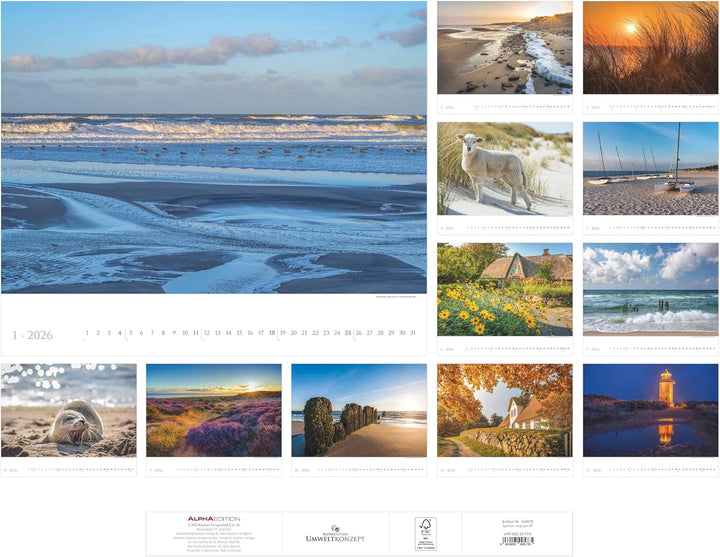 Alpha Edition - Sylt 2026 – XXL Bildkalender 60×50 cm, Panorama-Wandkalender im Querformat, Landscha