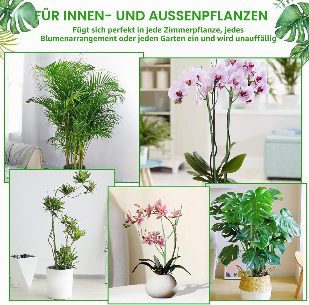 6Pcs Rankhilfe Pflanzenstütze für Zimmerpflanzen, Abnehmbare Pflanzenstäbe Pflanzstabverbinder 100cm