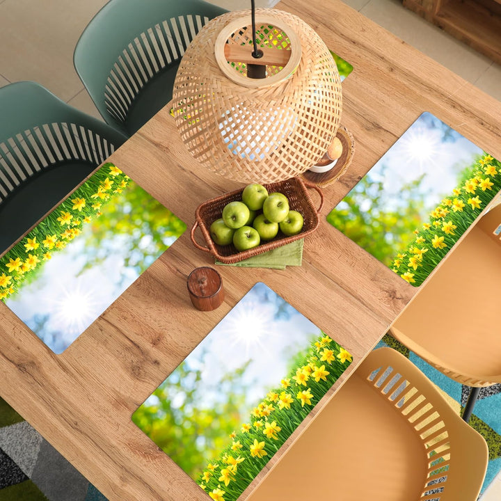 KitchenYeah© Platzsets Abwaschbar 6-Teilig 45x30 cm Tischsets Platzdeckchen Platzset Unterlage Tisch