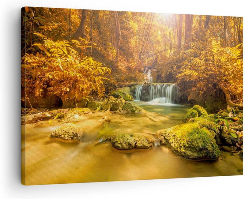 ARTTOR Bilder auf Leinwand Wald Bach Tropen Natur Leinwandbild 70x50cm Wandbilder Dekoration Wohnzim