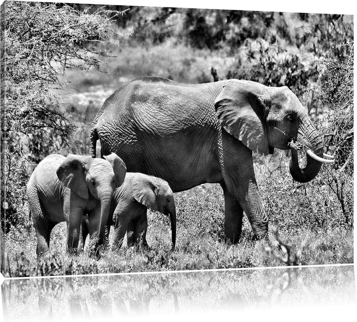 Pixxprint Monocrome, friedliche Elefantenfamilie, Format: 100x70 auf Leinwand, 100x70