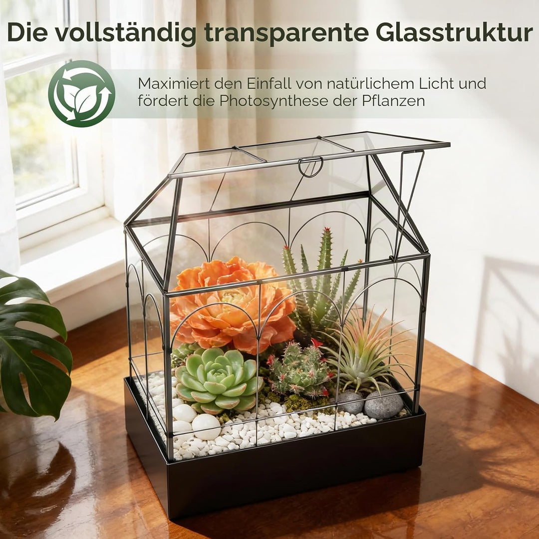 Mini Gewächshaus, 24x14,5x28cm Terrarium mit Aufklappbarem Glasdeckel, Volltransparentem Glas und Bo