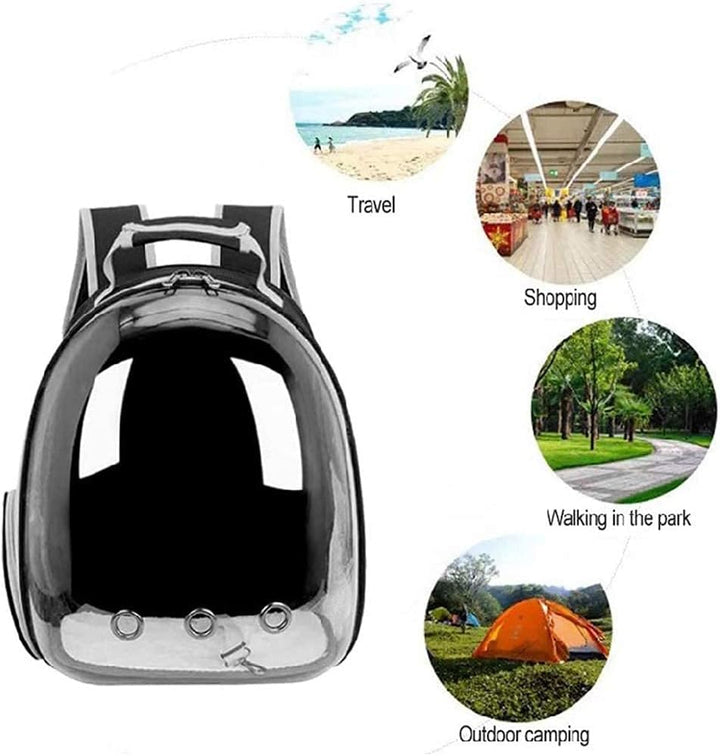 Hoogtecly Katzerucksack mit Vornes Transparentes Fenster, Katze Rucksack Tragbar Transportrucksack T
