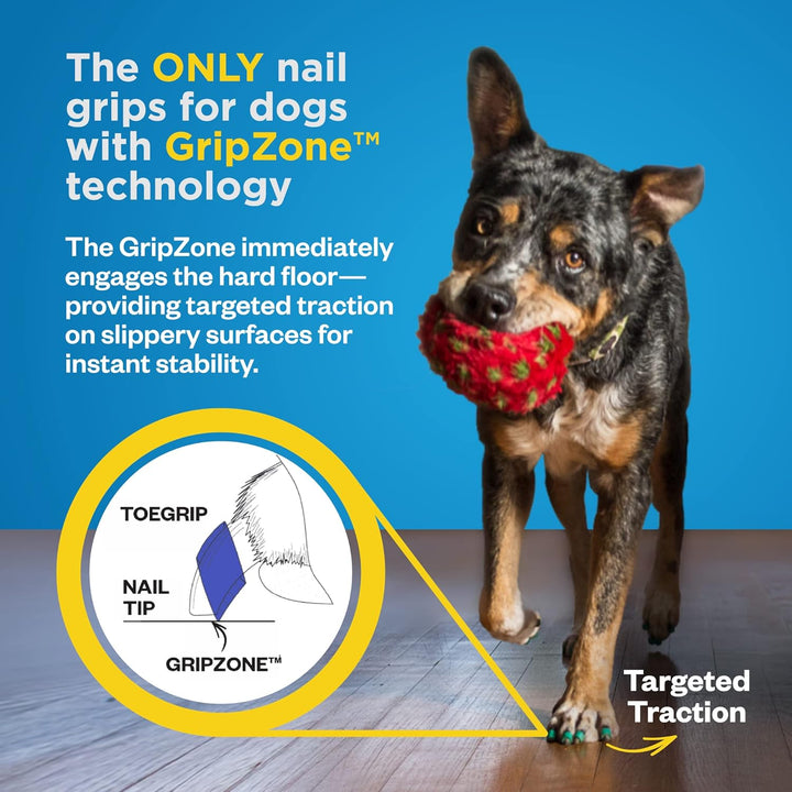 Dr Buzby's Grosse Zehengriffe für Hunde – sofortige Traktion auf Holz-/Hartholzböden – rutschfeste E