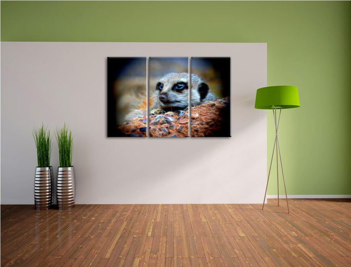 Dark ausgewachsenes Erdmännchen auf Steinboden NewArt 3-Teiler Leinwandbild 120x80 Bild auf Leinwand