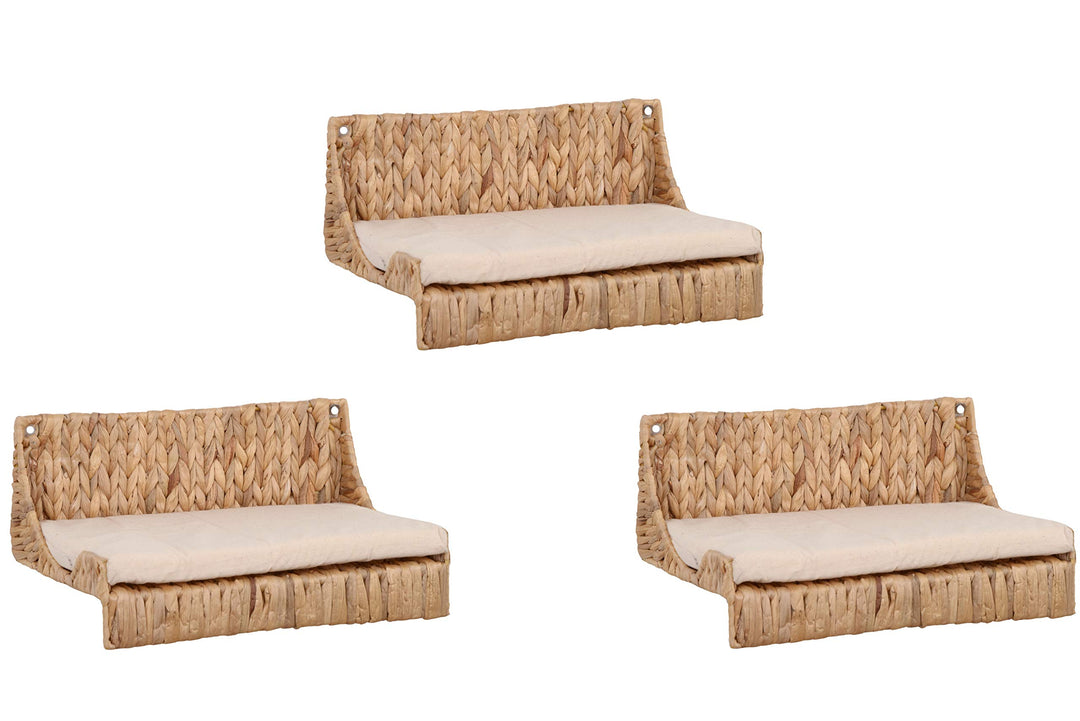 Wandliege Climby Wasserhyazinthe 3er Set, 3er Set