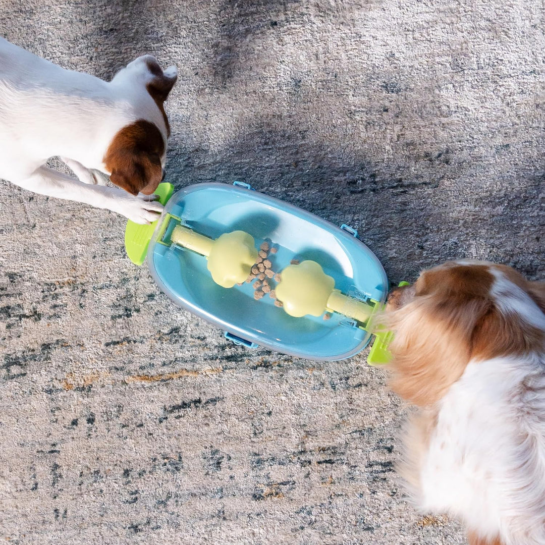 Outward Hound Nina Ottosson Paw N&