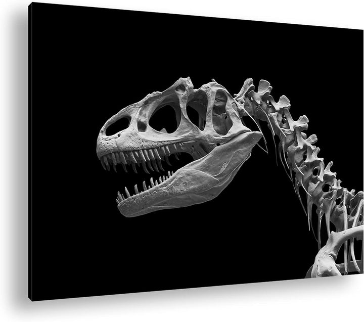 deyoli Allosaurus Skelett Format: 80x60 Effekt: Schwarz&Weiss als Leinwandbild, Motiv fertig gerahmt