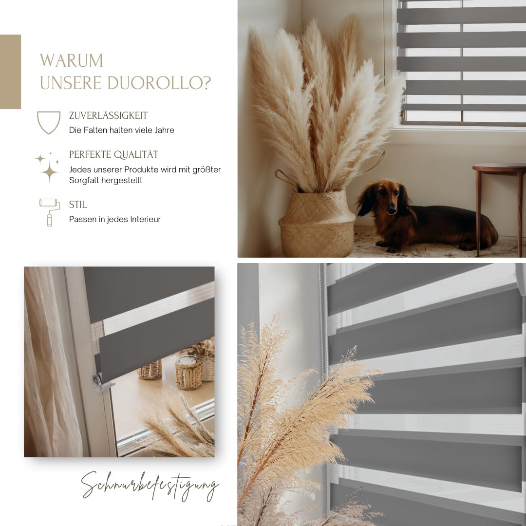 Home-Vision® DuoRollo Klemmfix, Doppelrollo ohne Bohren mit Klämmträgern, Rollos für Fenster und Tür