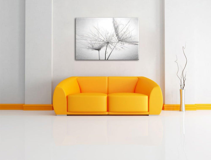 Pixxprint Pusteblume bedeckt mit Tropfen als Leinwandbild/Grösse: 100x70 / Wandbild/Kunstdruck/ferti