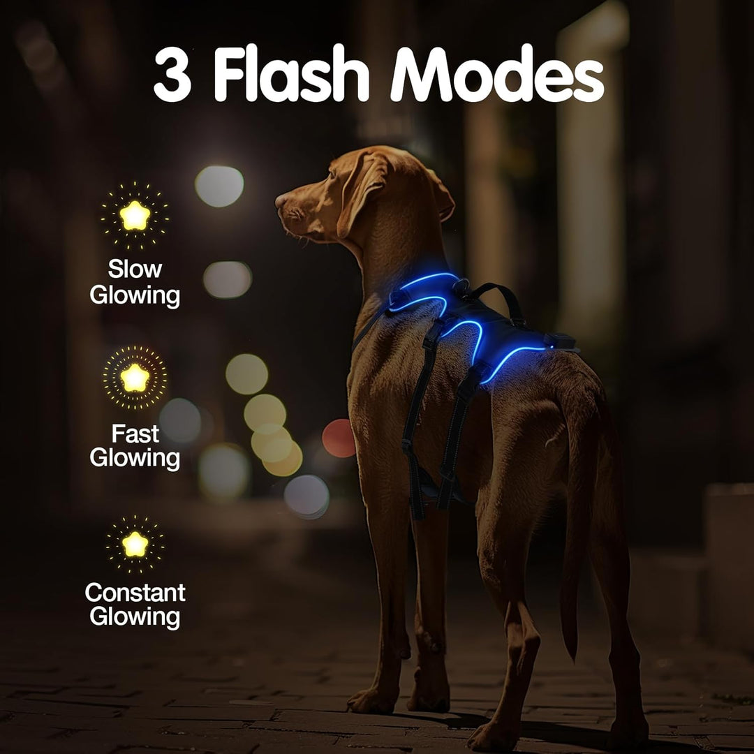Jewyow Hundegeschirr Leuchtend, Wiederaufladbare LED Hundegeschirr, Led Geschirr für Hunde mit Weich