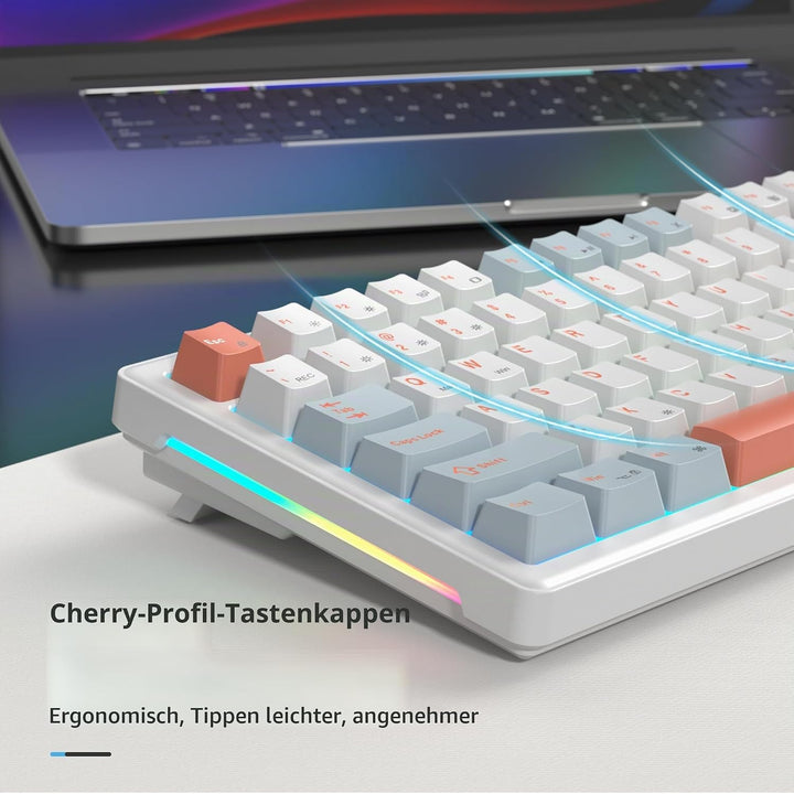 SOLIDEE Verkabelte Mechanische Gaming Tastatur 75 Prozent,hot-swap-fähige Mechanische Tastatur mit G