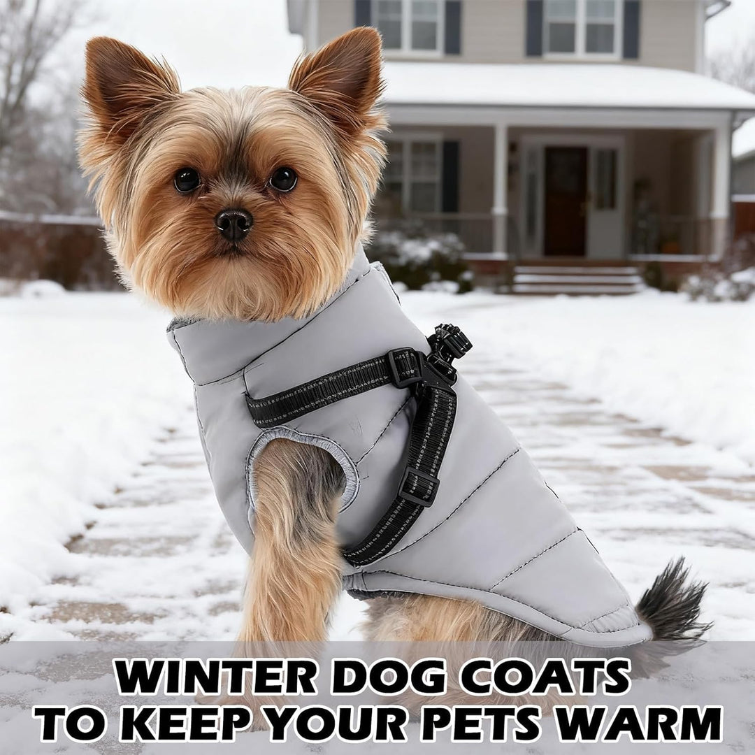 Hundemantel Winter mit Geschirr Einstellbar, ZoneYan Wasserdicht & Warm Hundemantel für Kleine Hunde