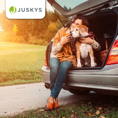 Juskys Hundetransportbox Lassie L (grau) faltbar - 50 x 70 x 52 cm - Reisebox mit Decke, Tasche & Gr