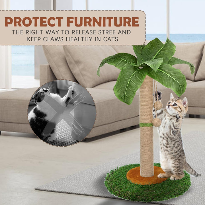 HOMYHANDS Kratzbaum für Indoor-Katzen und Kätzchen, 60 cm hoch, Katzenkratzbaum mit Sisalseil, Palme