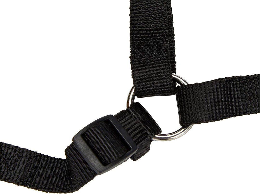 TRIXIE Classic H-Geschirr Grösse M–L: Brustumfang 50–75 cm/20 mm in schwarz - verstellbares Führungs