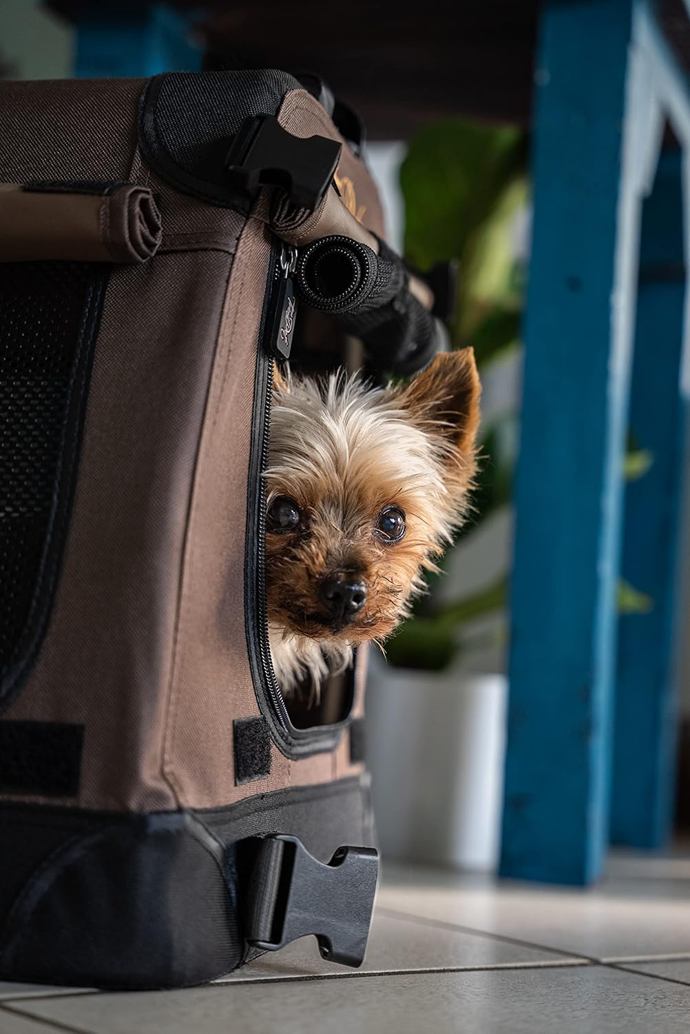 TrendPet TPX50-Pro - Leichte, Faltbare Hundebox mit Aluminium Rahmen L 50 x B 35 x H 35 cm, L 50 x B