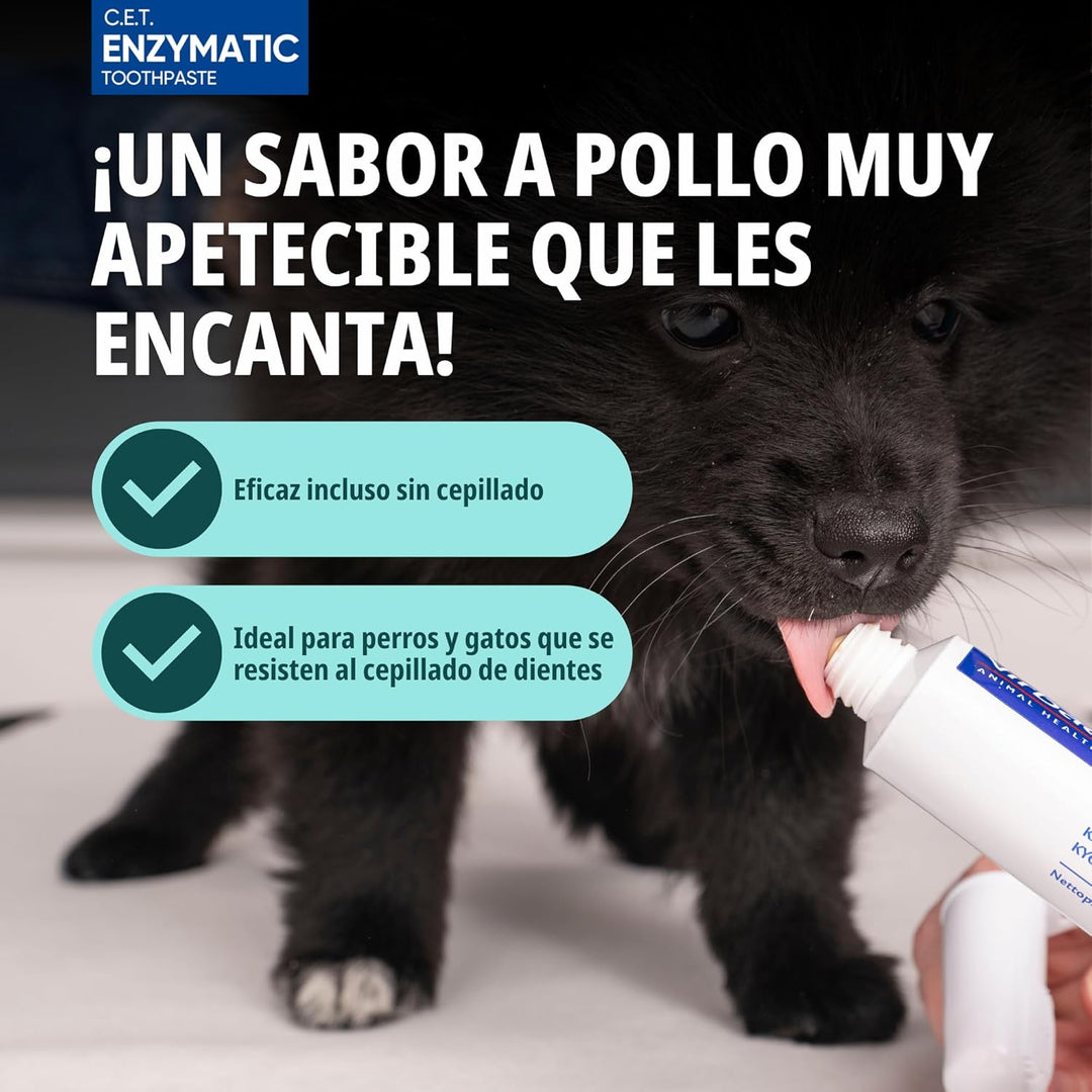 CET KIT CEPILLO + DENTIFRICO ENZIMATICO 70GR