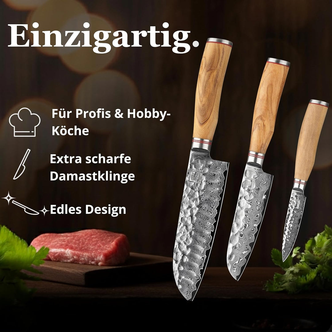 zayiko Minami Premium 3er Damastmesser-Set mit Klingen von 9-17 cm gefertigt aus 67 Lagen echtem Dam