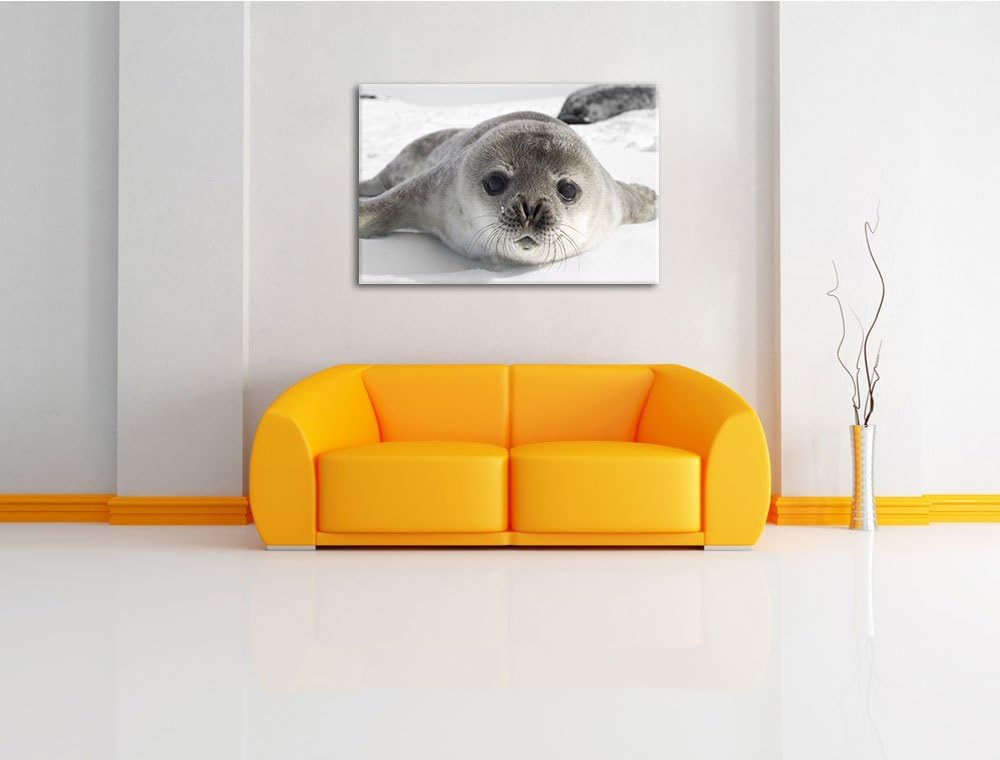 süsses Robben Baby schwarz/weiss Format: 100x70 auf Leinwand, XXL riesige Bilder fertig gerahmt mit