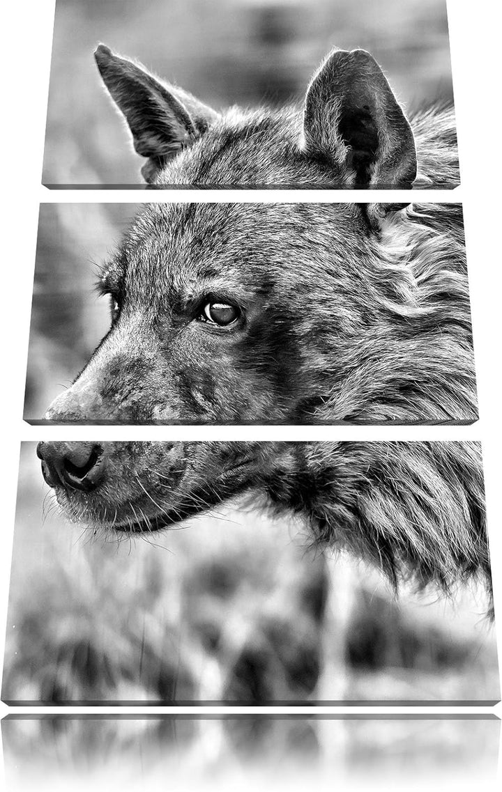 Pixxprint anmutige Hyäne im Wildgras als Leinwandbild/Grösse: 3 Teilig (120x80) cm/Wandbild/Kunstdru