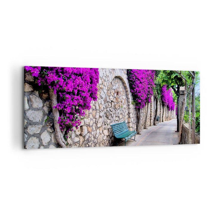 Wandbilder Dekoration Wohnzimmer Pflanzen Bank Strasse Sommer Panorama Bilder auf Leinwand 120x50cm