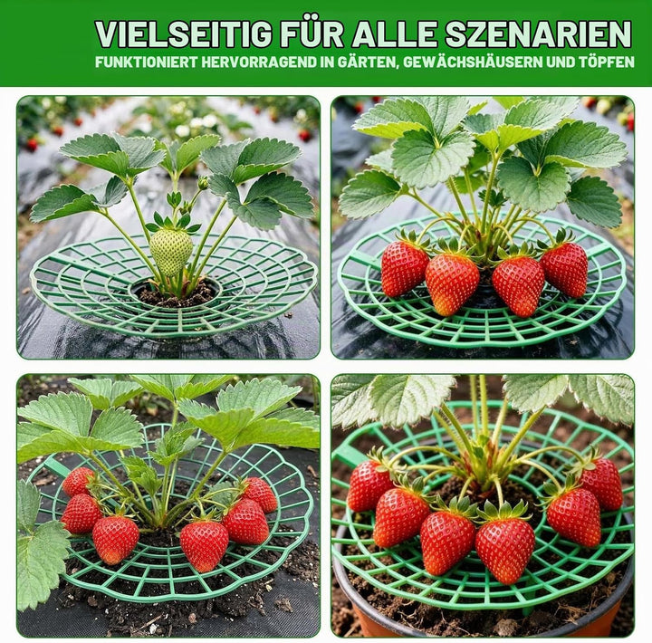 20 Stück Erdbeerstützen Ständer, Erdbeeren Schutz, Erdbeerreifer Erdbeerregal Abnehmbares Pflanzenre