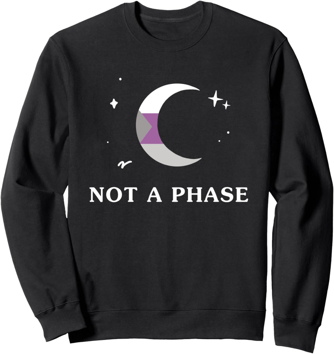 Keine Phase Demisexual LGBTQIA Pride Flagge Monde Sweatshirt