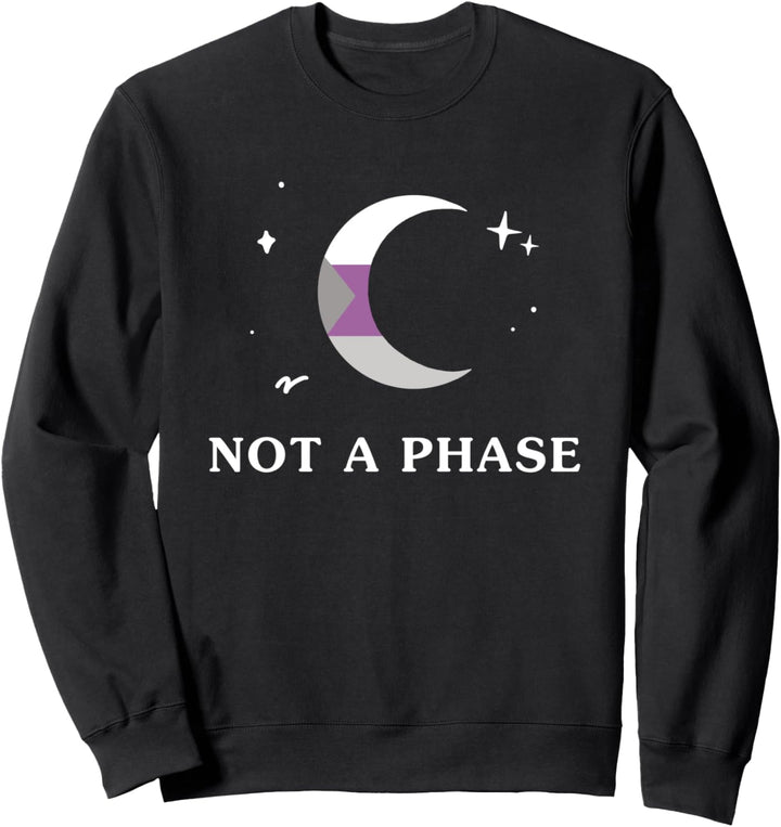 Keine Phase Demisexual LGBTQIA Pride Flagge Monde Sweatshirt