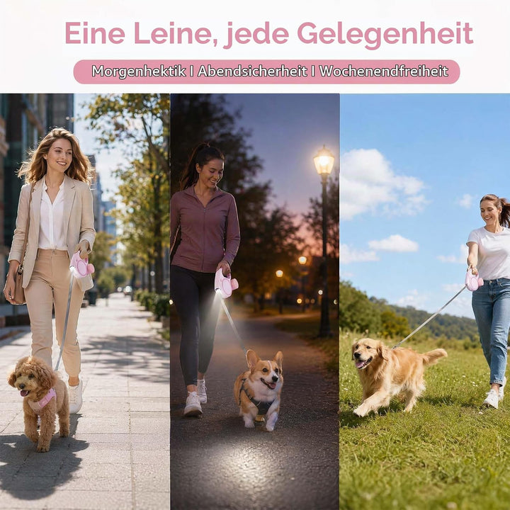 Hundeleine mit LED 5m, Rollleine für Hunde bis 10-25kg, Hundeleine Ausziehbar mit rutschfest Griff,
