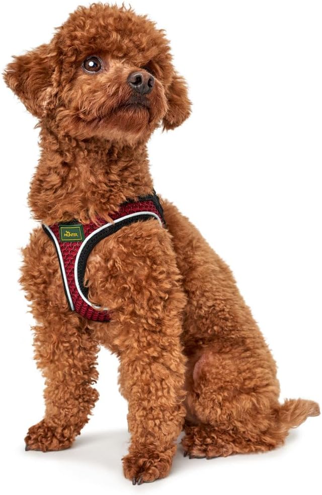 HUNTER HILO COMFORT Geschirr für kleine Hunde mit Netzmaterial und reflektierenden Elementen, rot, S