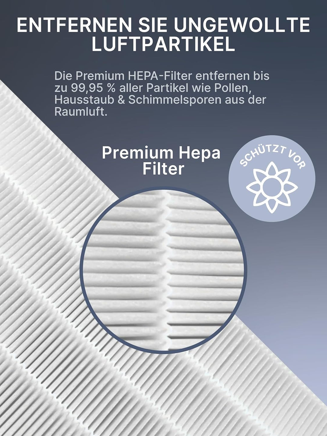 Comedes Filter-Set für Philips AC2889, AC2887, AC2882 &amp; AC3829 Luftreiniger, einsetzbar statt Philip
