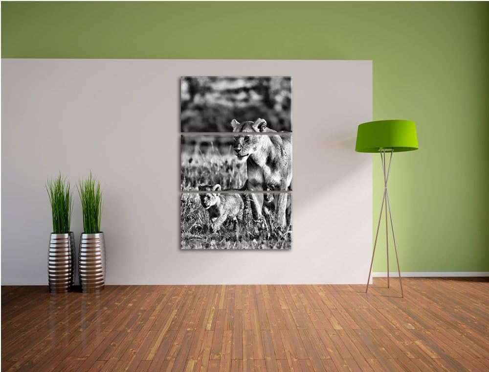 Pixxprint Monocrome, Löwenmutter mit Jungtieren 3-Teiler Leinwandbild 120x80 Bild auf Leinwand