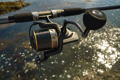 PENN Battle III Weitwurfrolle – Weitwurf-Salzwasserrolle 7000 | Long Cast, 7000 | Long Cast