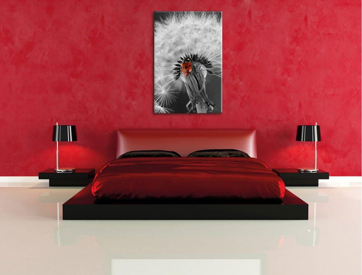 Pixxprint schöner Marienkäfer auf Pusteblume als Leinwandbild/Grösse: 100x70 cm/Wandbild/Kunstdruck/