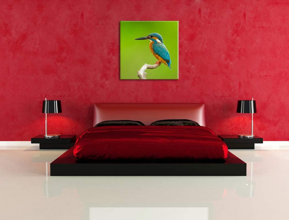 Kleiner Eisvogel, Format: 70x70 auf Leinwand, XXL riesige Bilder fertig gerahmt mit Keilrahmen, Kuns