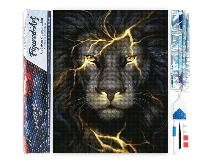 Figured'Art Diamond Painting Erwachsene 40x50cm Ganze Leinwand gerollt Schwarzer Löwe 5D Bilder Ecki