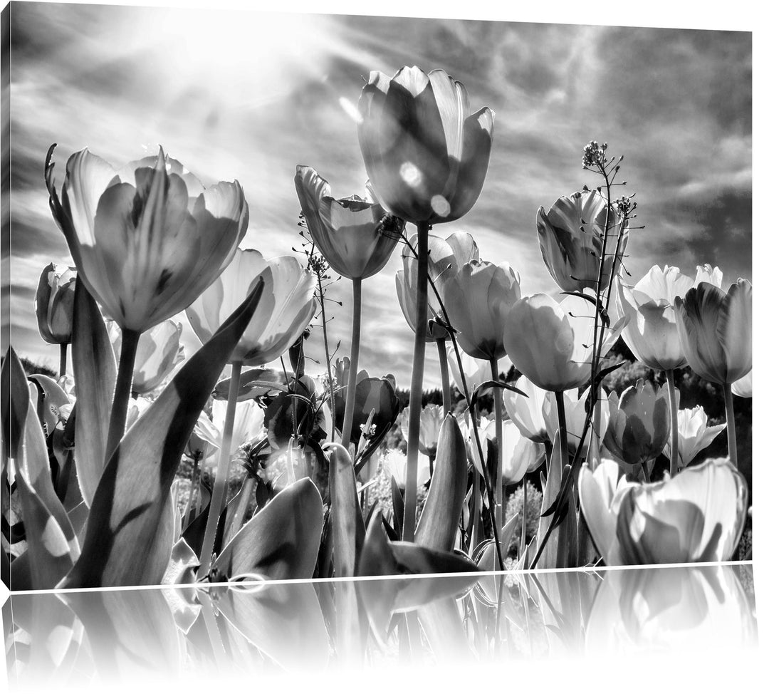 Pixxprint Blumenwiese / 100x70cm Leinwandbild bespannt auf Holzrahmen/Wandbild Kunstdruck Dekoration